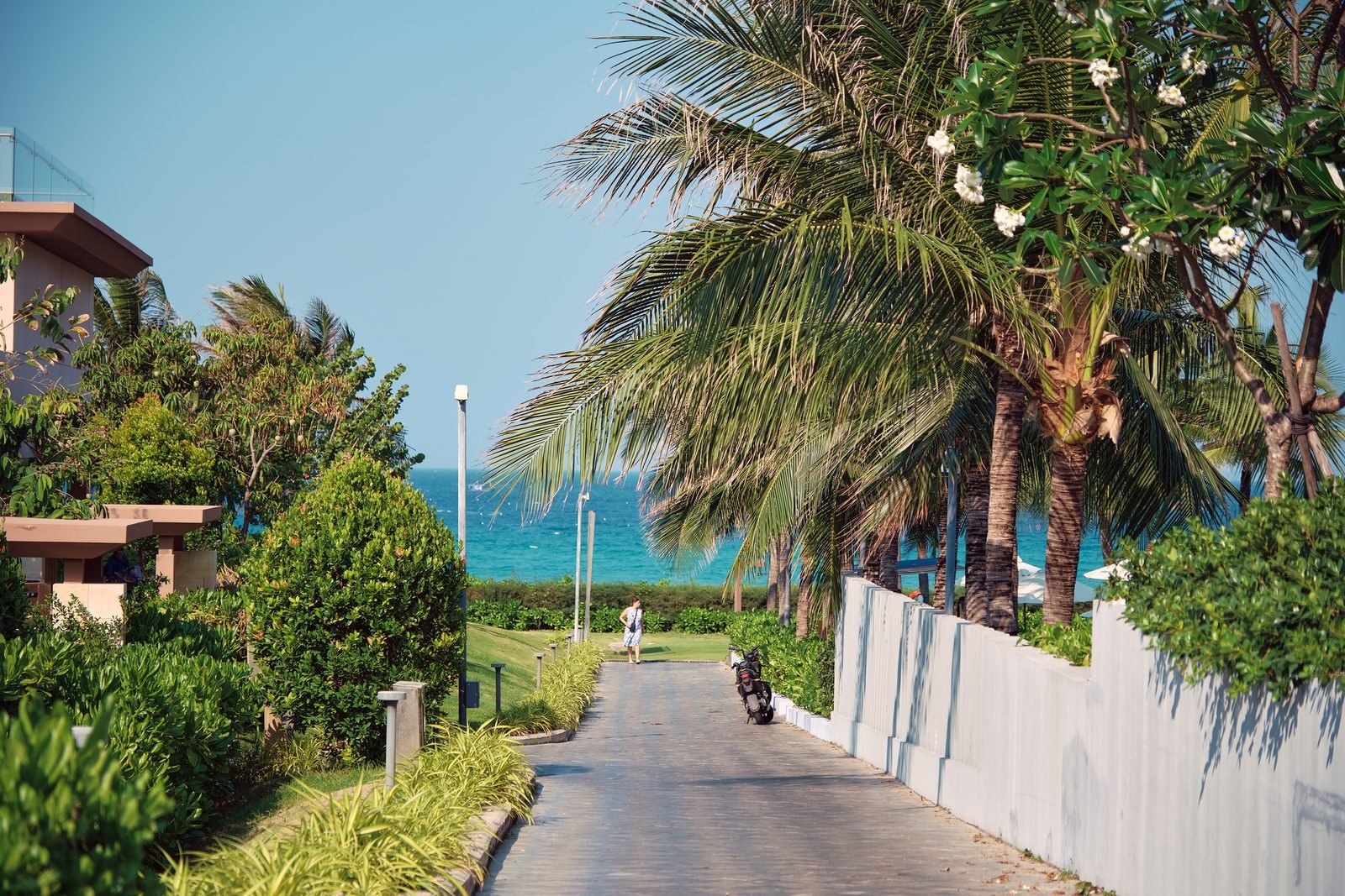 Frangipani-lined path to the beach